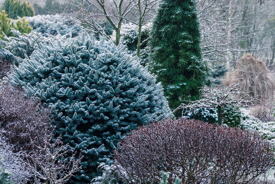 2048-1365-Winter_JI_230119_AshwoodNurseries_091