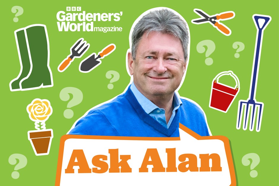 2048x1365 ask alan